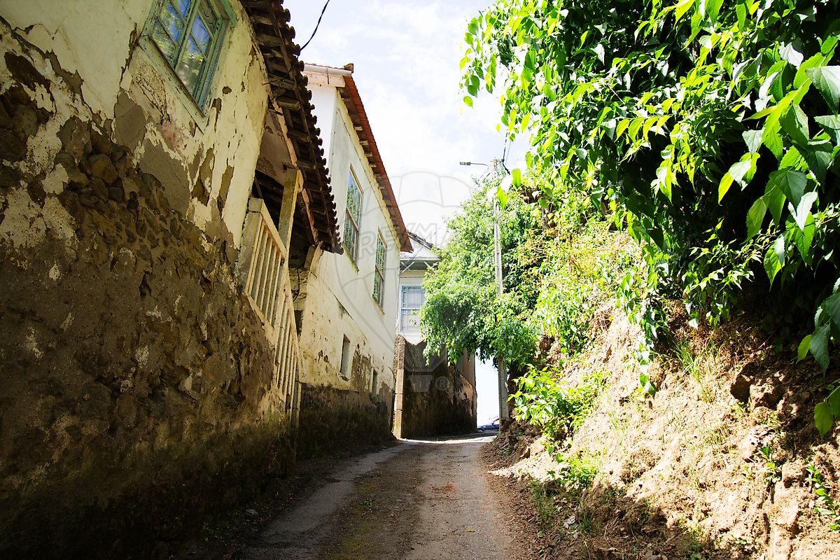 Moradia T3 à venda em Peso da Régua e Godim, Peso da Régua — foto 13