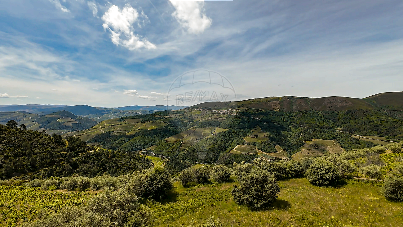 Terreno - Provesende, Gouvães do Douro e São Cristóvão do Douro, Sabrosa, Vila Real