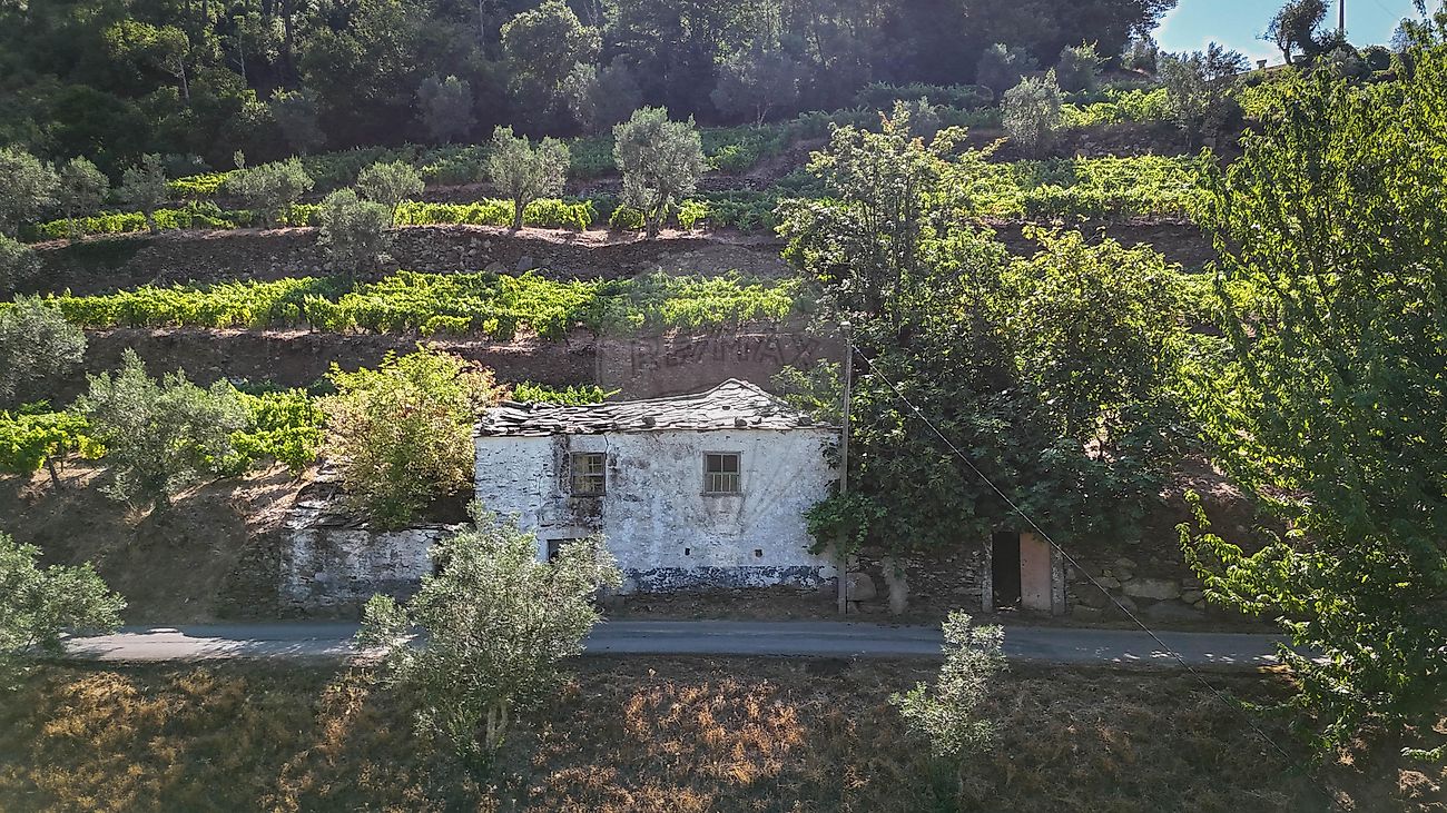 Moradia - Louredo e Fornelos, Santa Marta de Penaguião, Vila Real