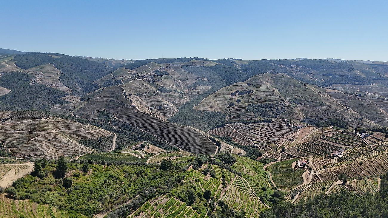 Moradia T3 à venda em Celeirós, Sabrosa — foto 31