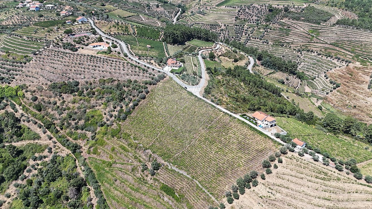 Moradia T3 à venda em Celeirós, Sabrosa — foto 30