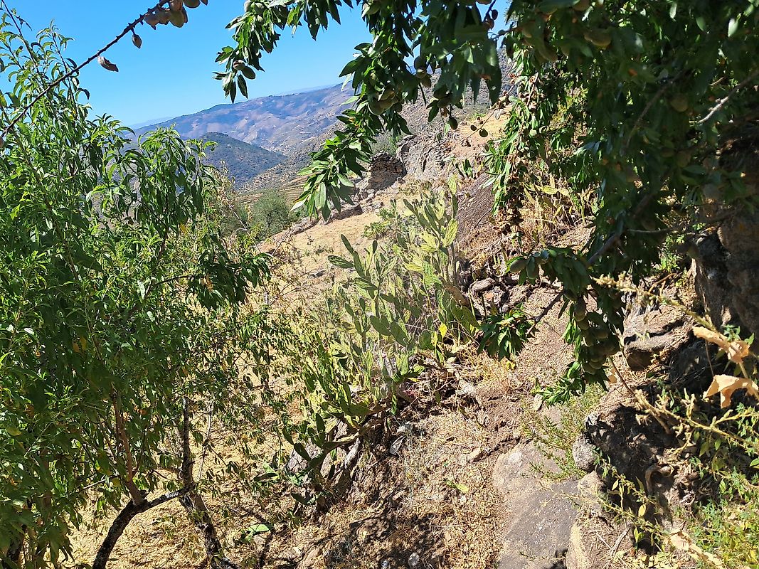 Moradia T0 à venda em Linhares, Carrazeda de Ansiães — foto 20