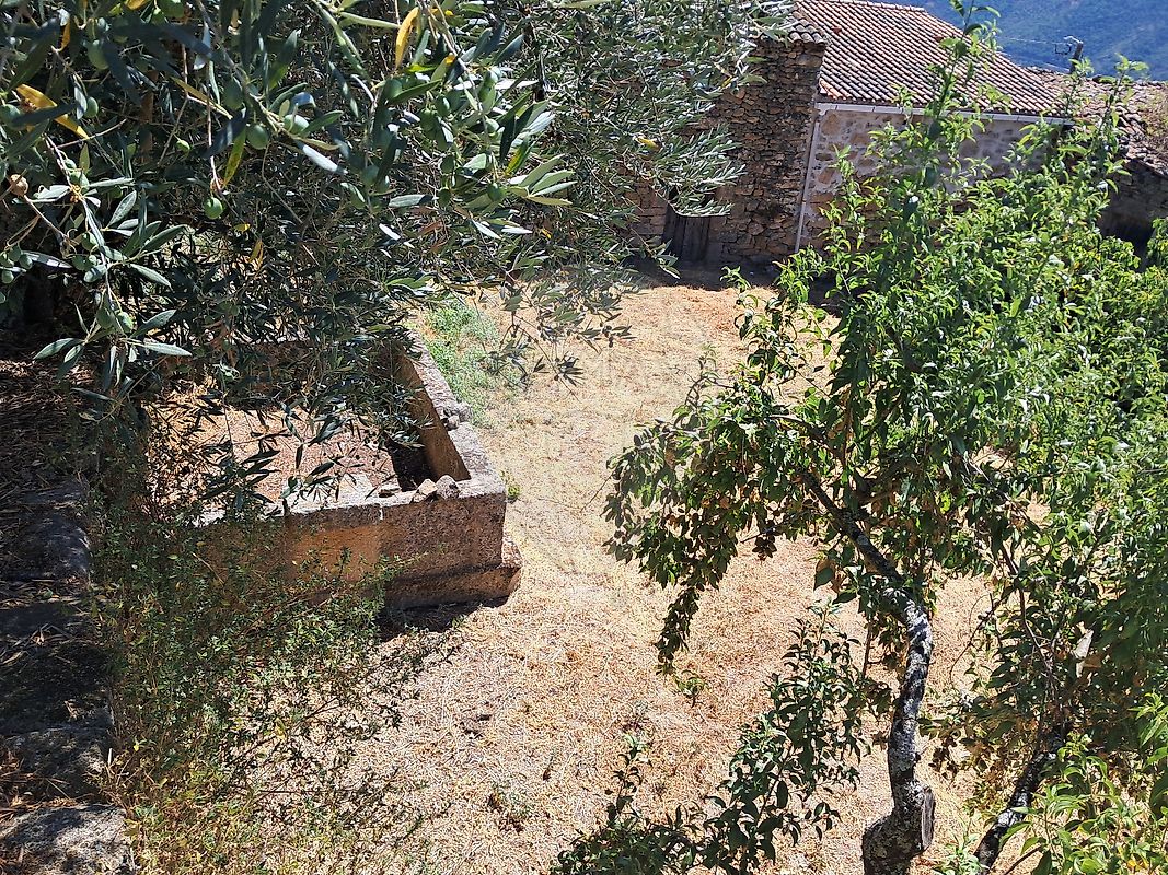 Moradia T0 à venda em Linhares, Carrazeda de Ansiães — foto 22