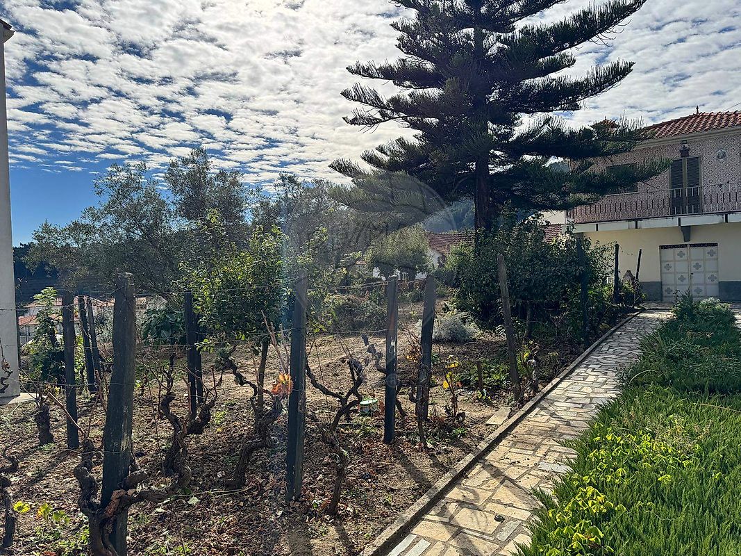 Moradia T2 à venda em Sedielos, Peso da Régua — foto 10