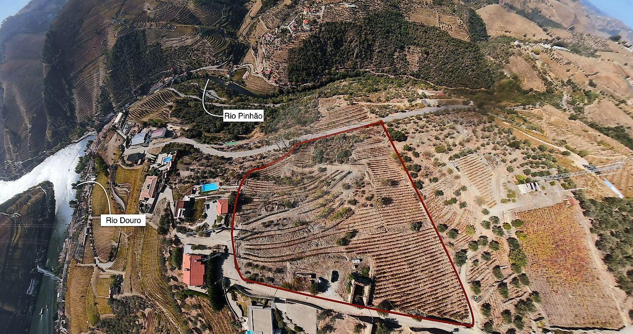 Terreno - Vale de Mendiz, Casal de Loivos e Vilarinho de Cotas, Alijó, Vila Real