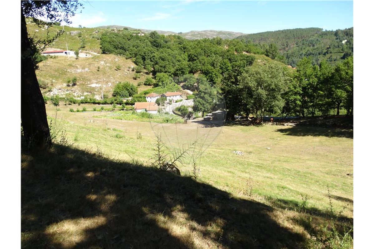 Terreno  para venda