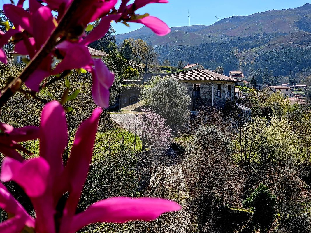 Quinta - Guilhofrei, Vieira do Minho, Braga