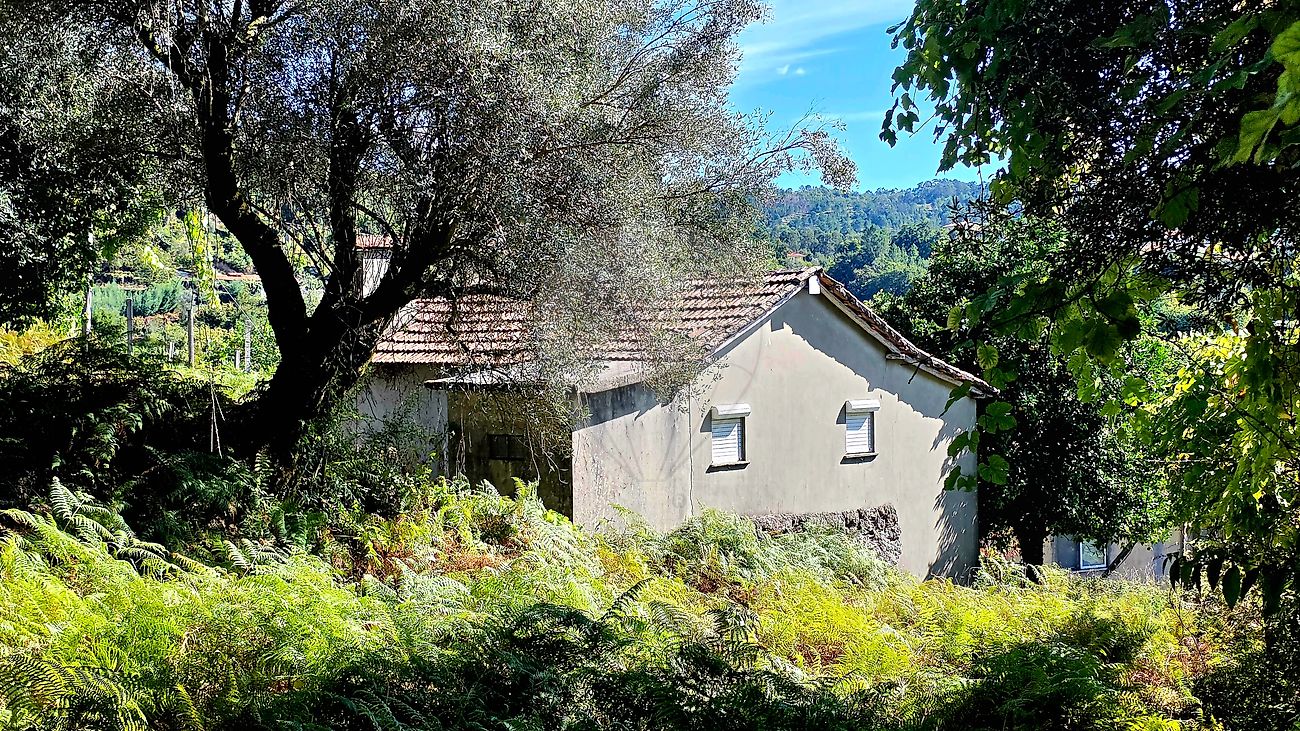 Moradia T2 à venda em Pinheiro, Vieira do Minho — foto 15