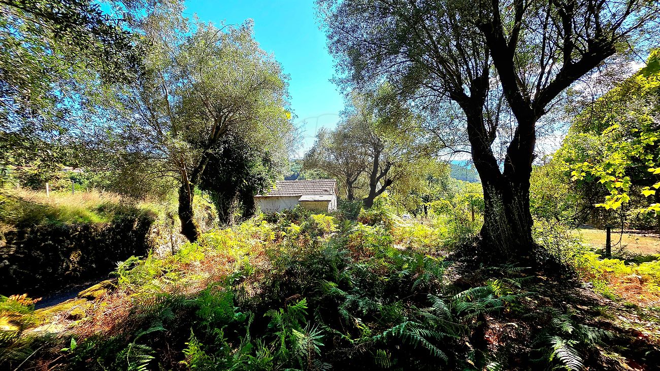Moradia T2 à venda em Pinheiro, Vieira do Minho — foto 16