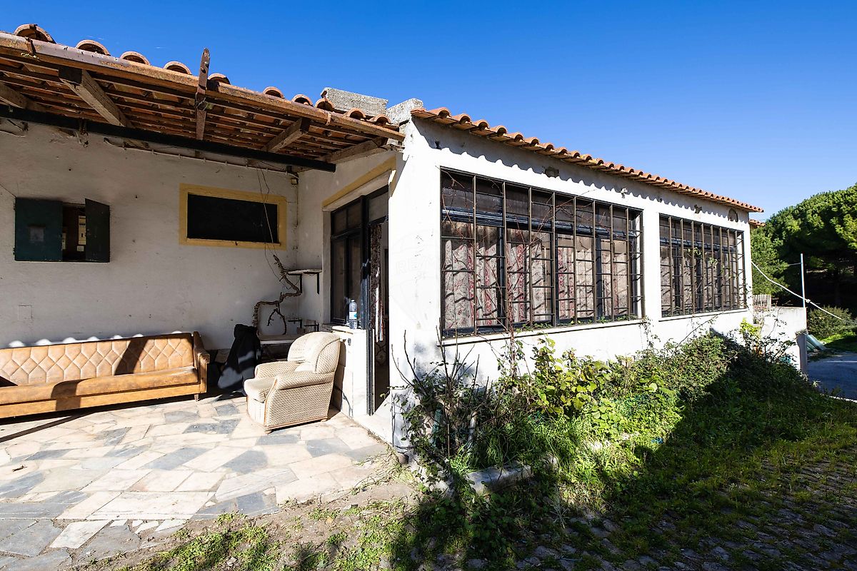 listing 125911079-6 picture-0