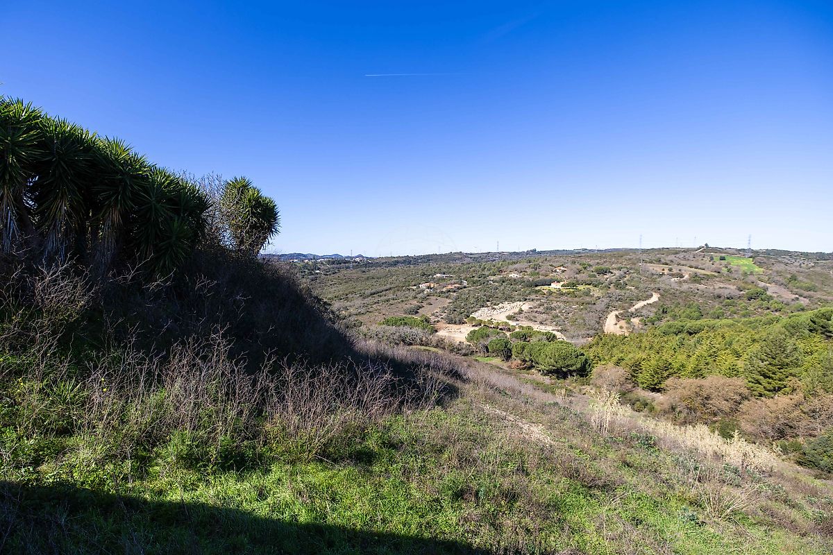 listing 125911079-6 picture-0