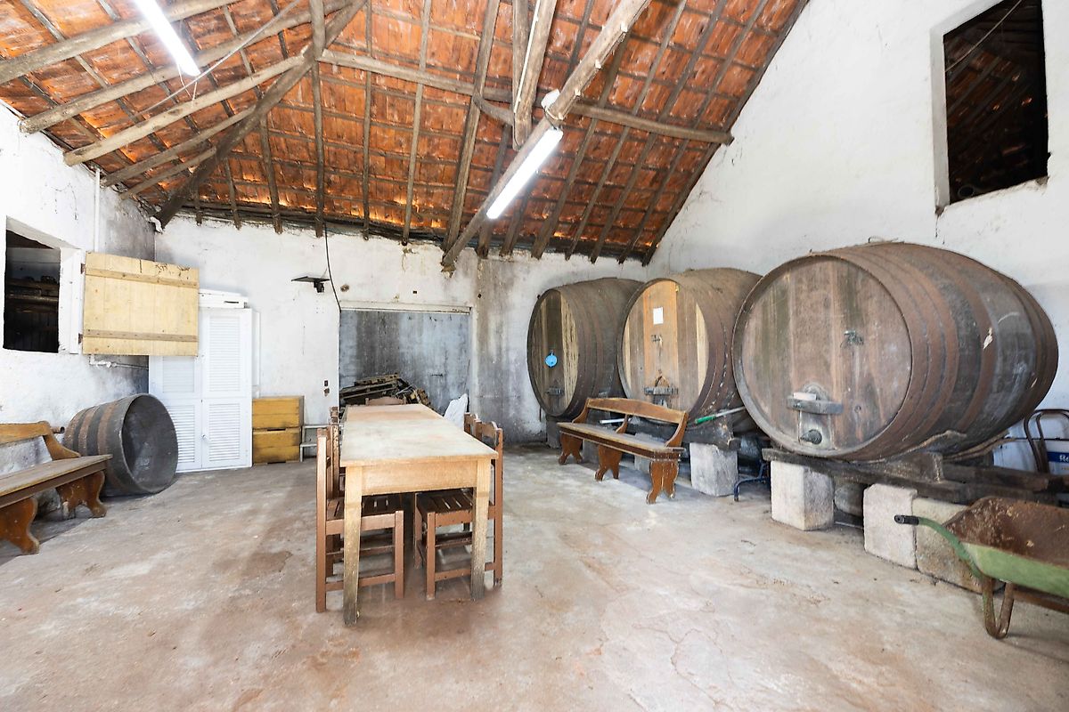 listing 125911079-6 picture-0