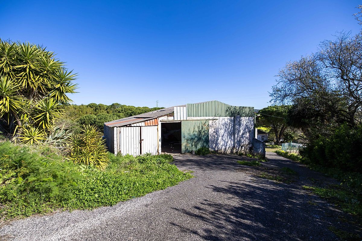 listing 125911079-6 picture-0