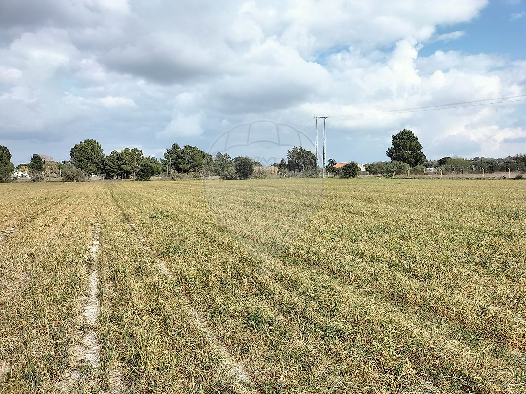 listing 125921030-4 picture-0