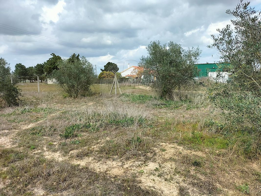 listing 125921030-4 picture-0