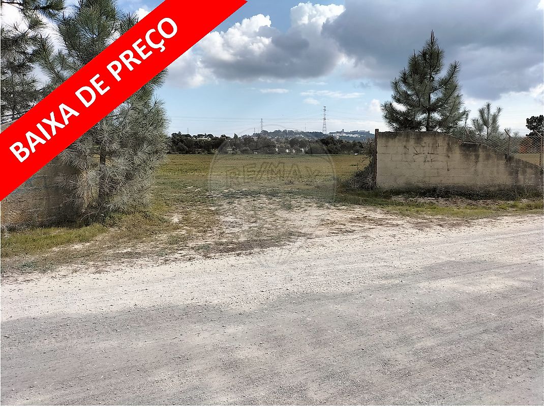 listing 125921030-4 picture-0