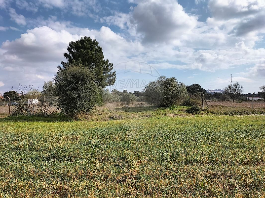 listing 125921030-4 picture-0