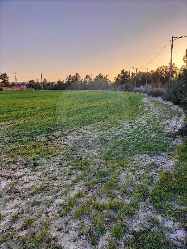 listing 125921030-4 picture-0