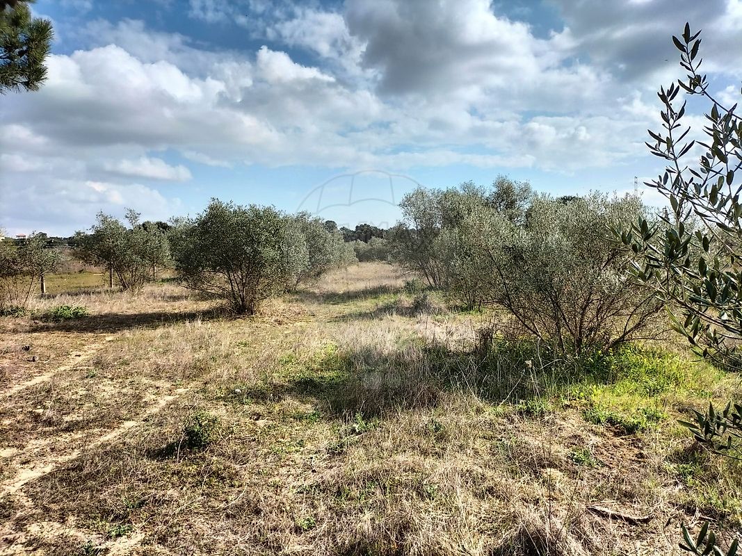listing 125921030-4 picture-0
