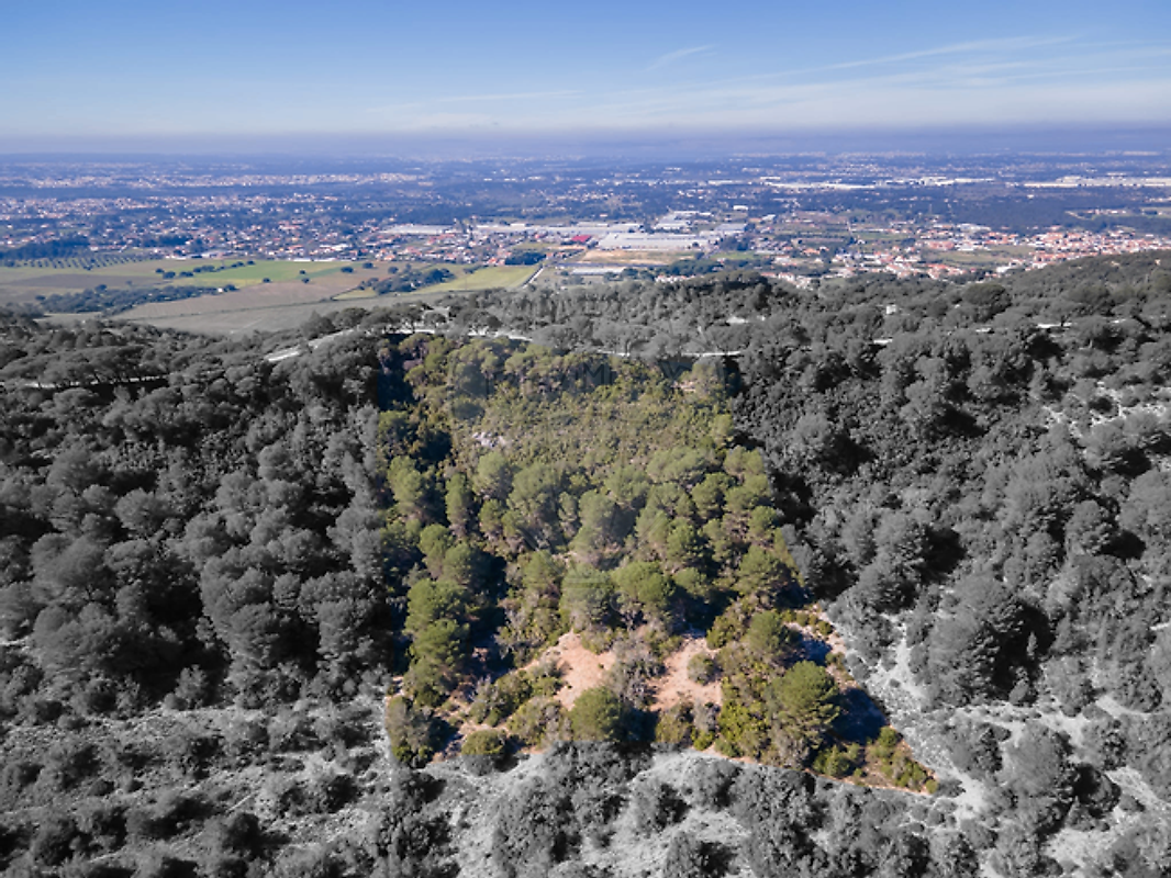 Terreno - Azeitão (São Lourenço e São Simão), Setúbal, Setúbal