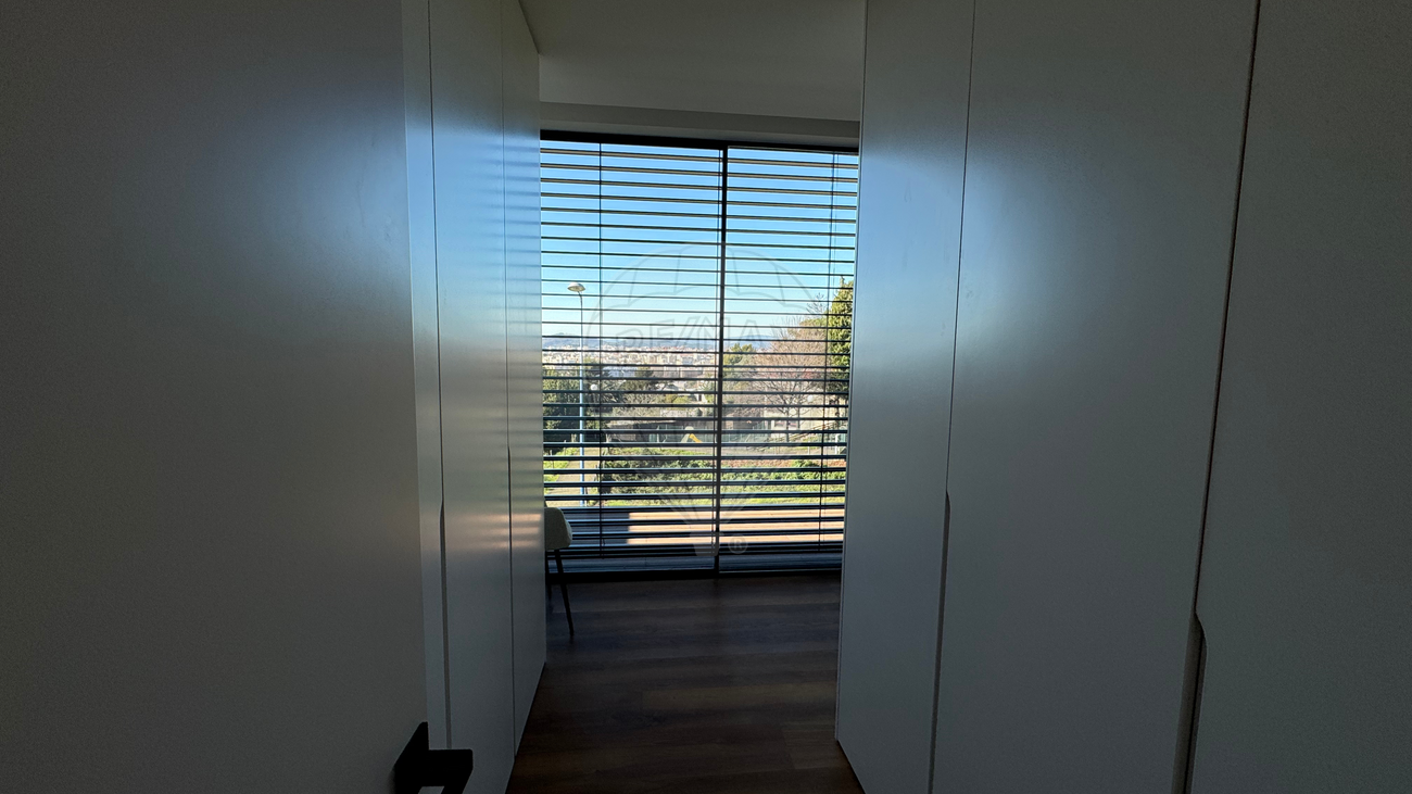 listing 125971010-219 picture-0