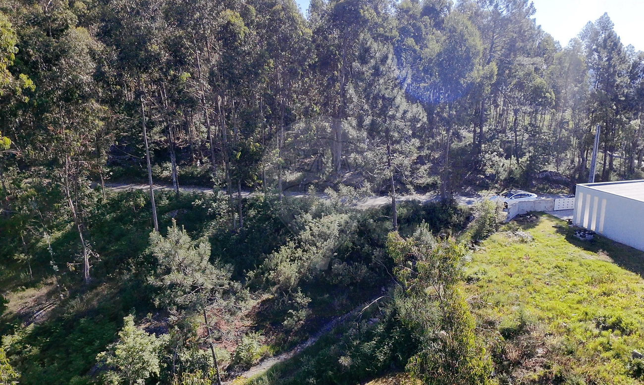 Terreno para venda