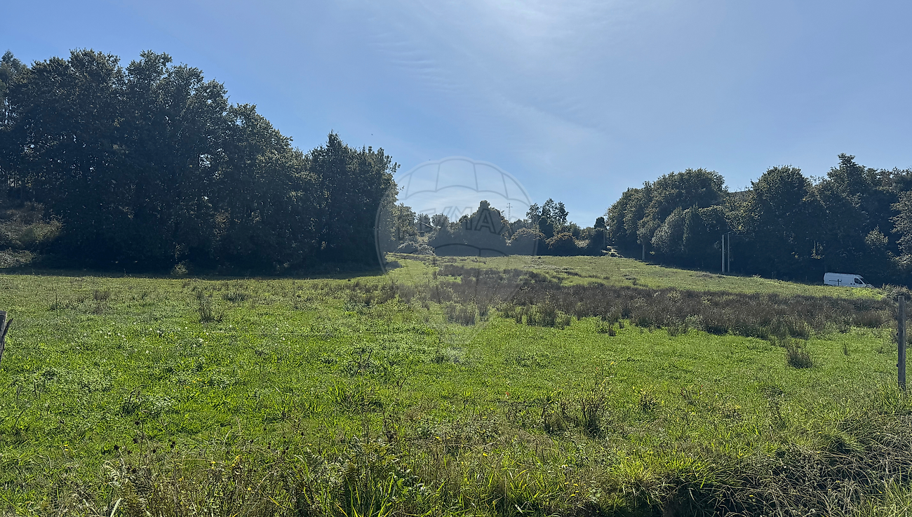 Terreno  para venda