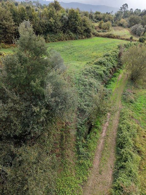 Terreno - Gandra e Taião, Valença, Viana do Castelo