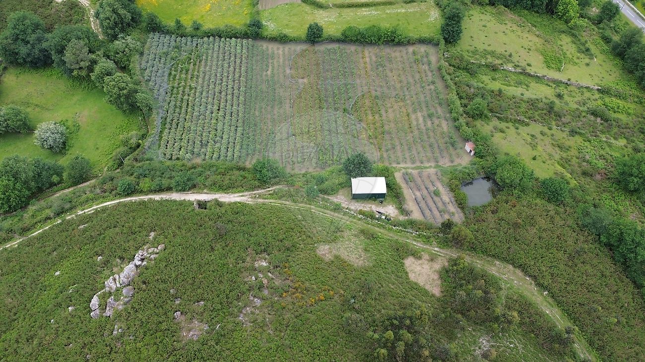 Moradia T0 à venda em Gondoriz, Terras de Bouro — foto 10