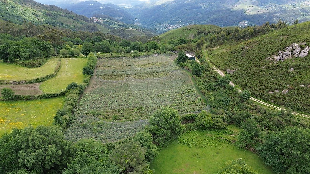 Terreno - Gondoriz, Terras de Bouro, Braga