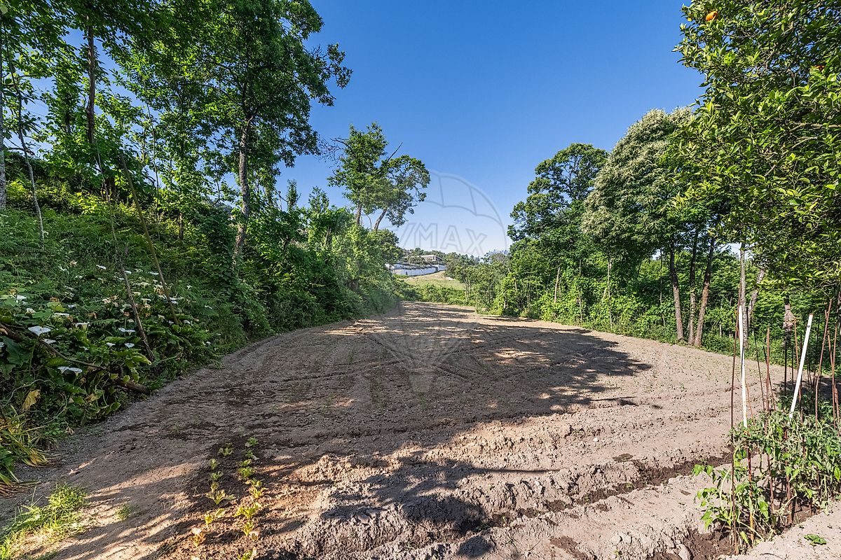 Moradia T6+ à venda em Este (São Pedro e São Mamede), Braga — foto 27