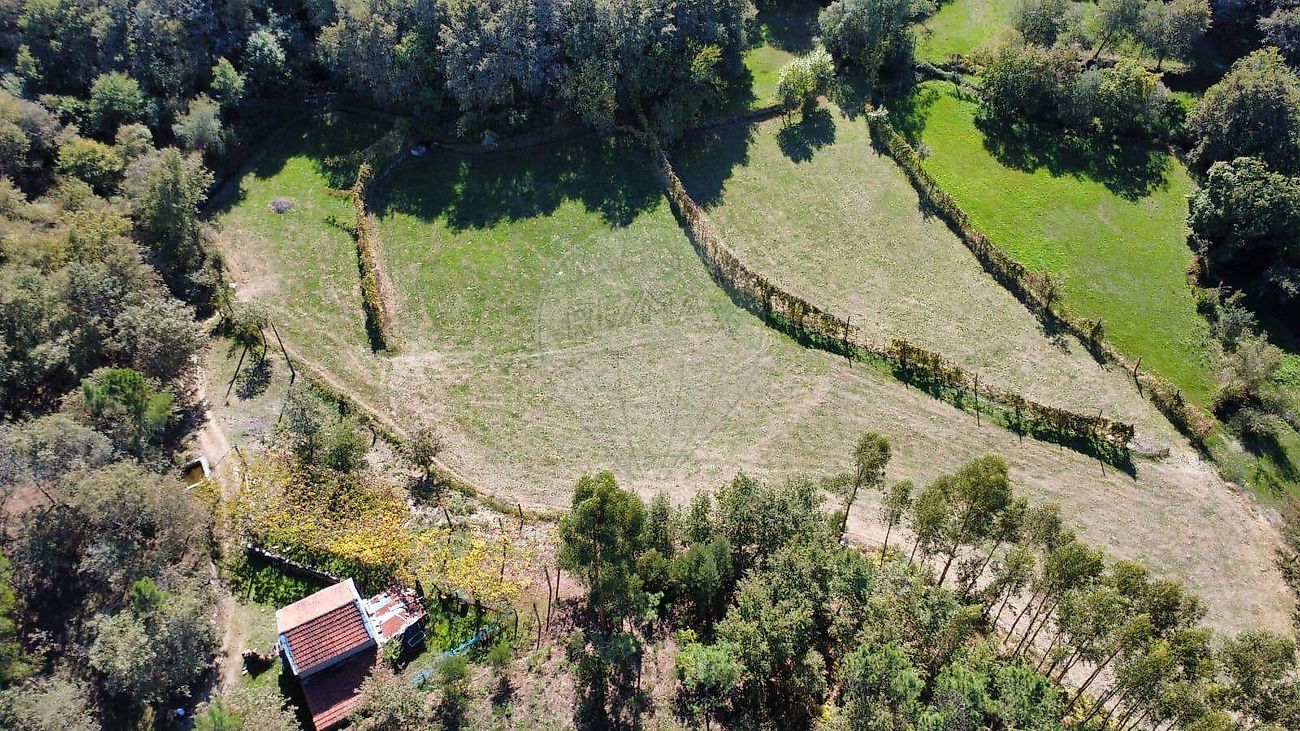 Terreno à venda em Fafe