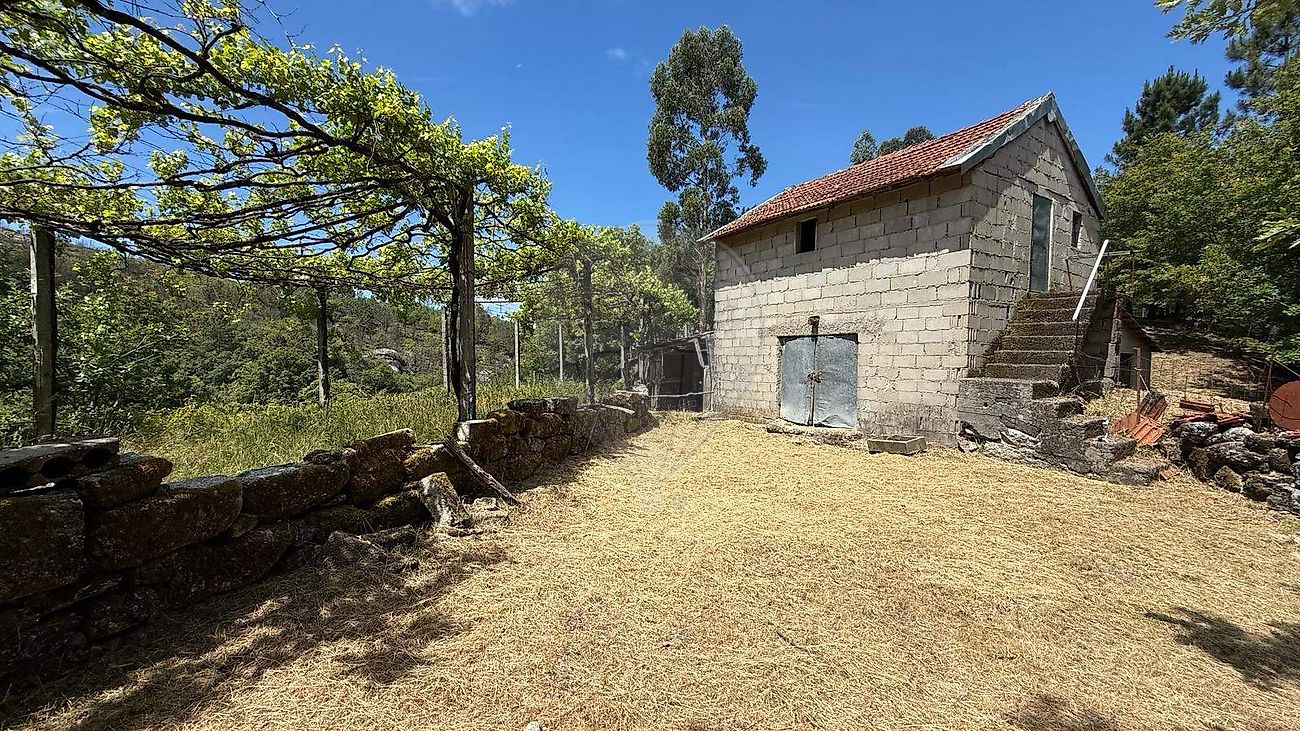 Terreno - Monte e Queimadela, Fafe, Braga