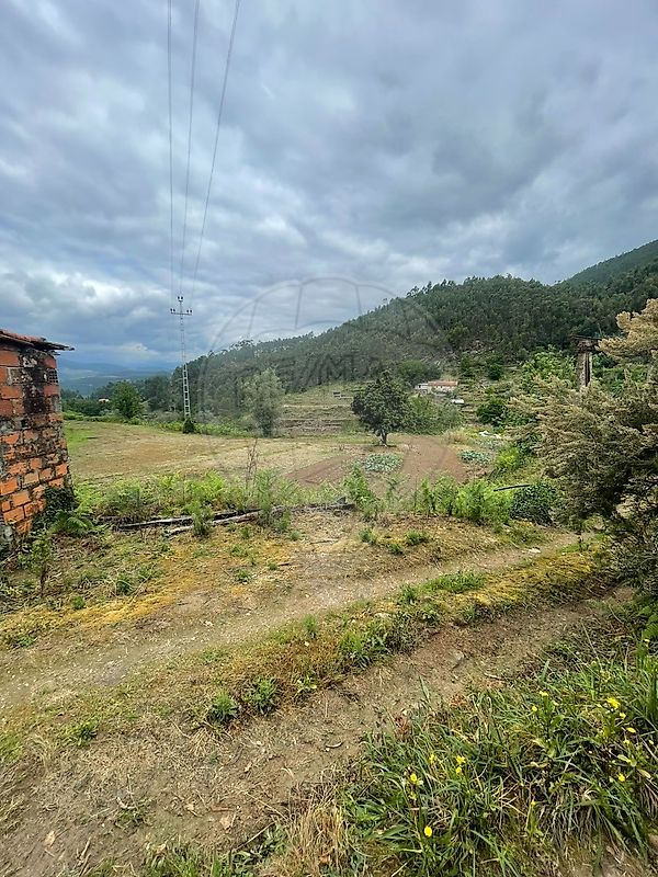 Terreno - Mondim de Basto, Mondim de Basto, Vila Real