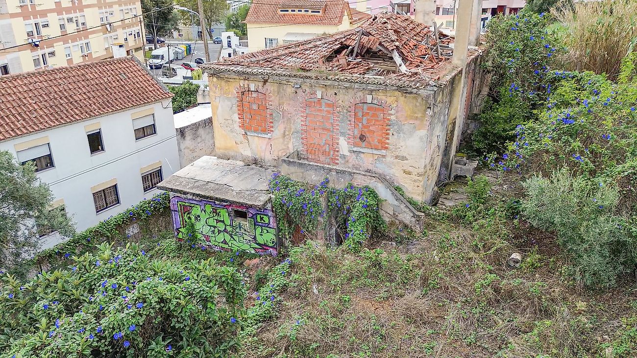 listing-picture-0