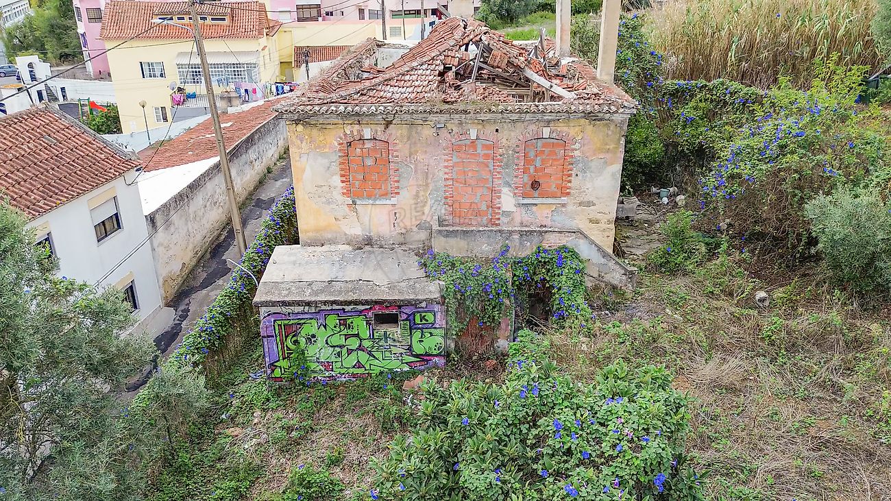 listing-picture-0