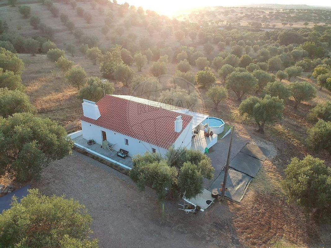 Quinta - Pavia, Mora, Évora