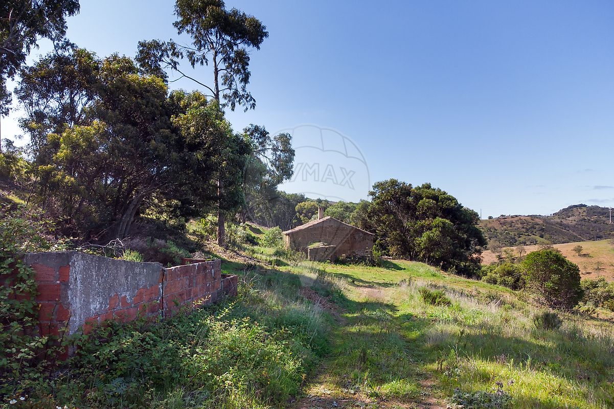 listing-picture-0