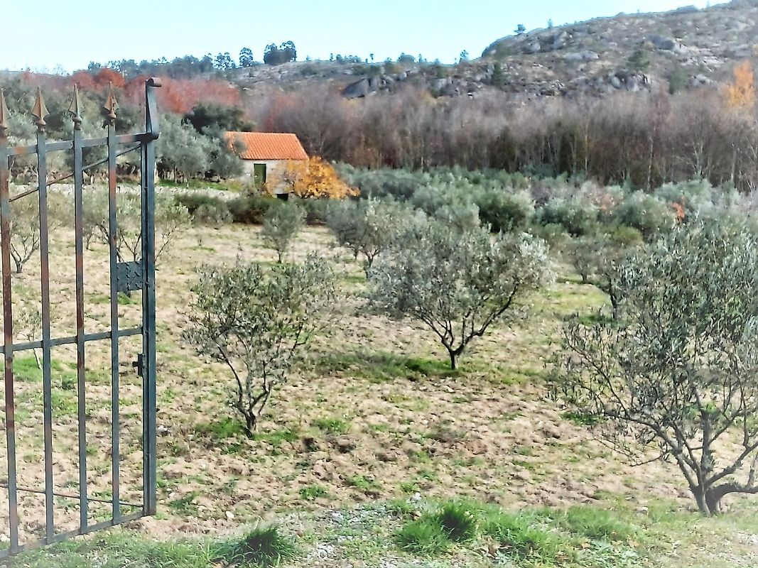 Quinta  para venda