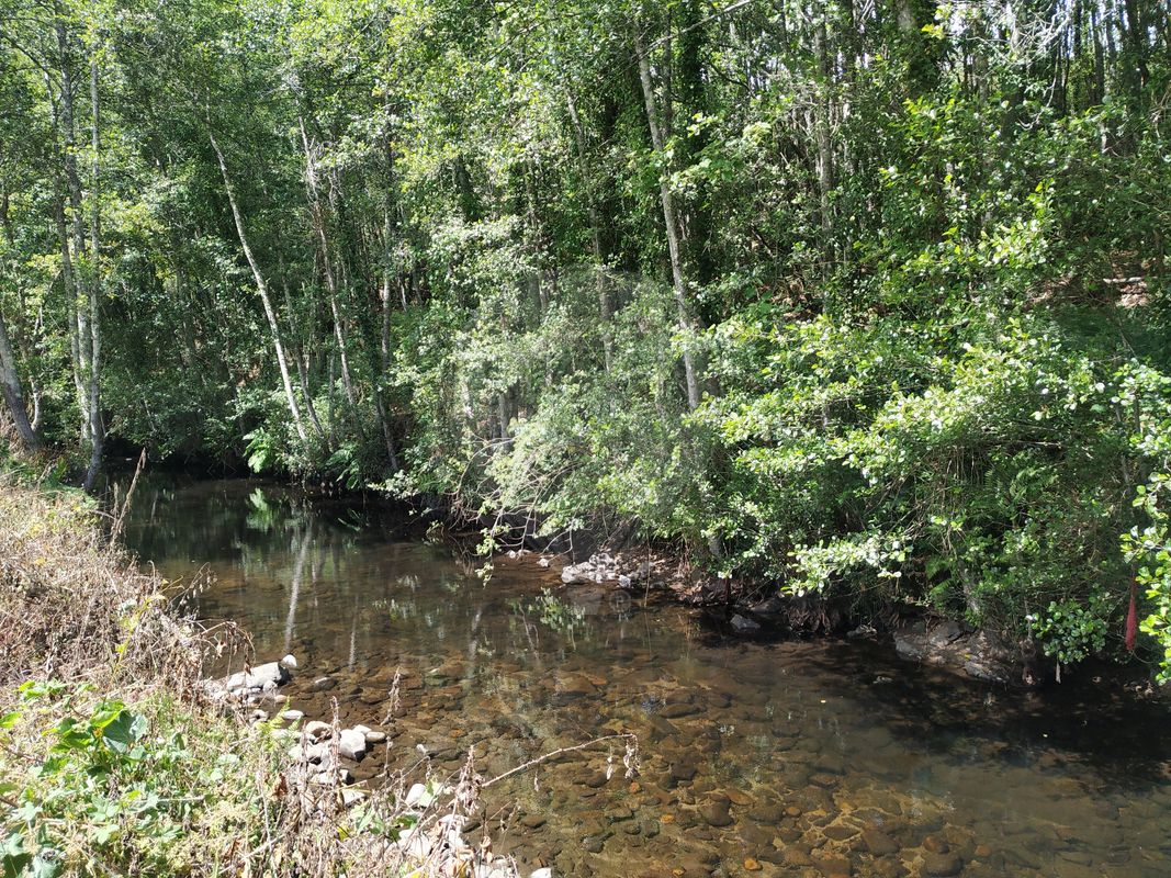 Terreno  para venda