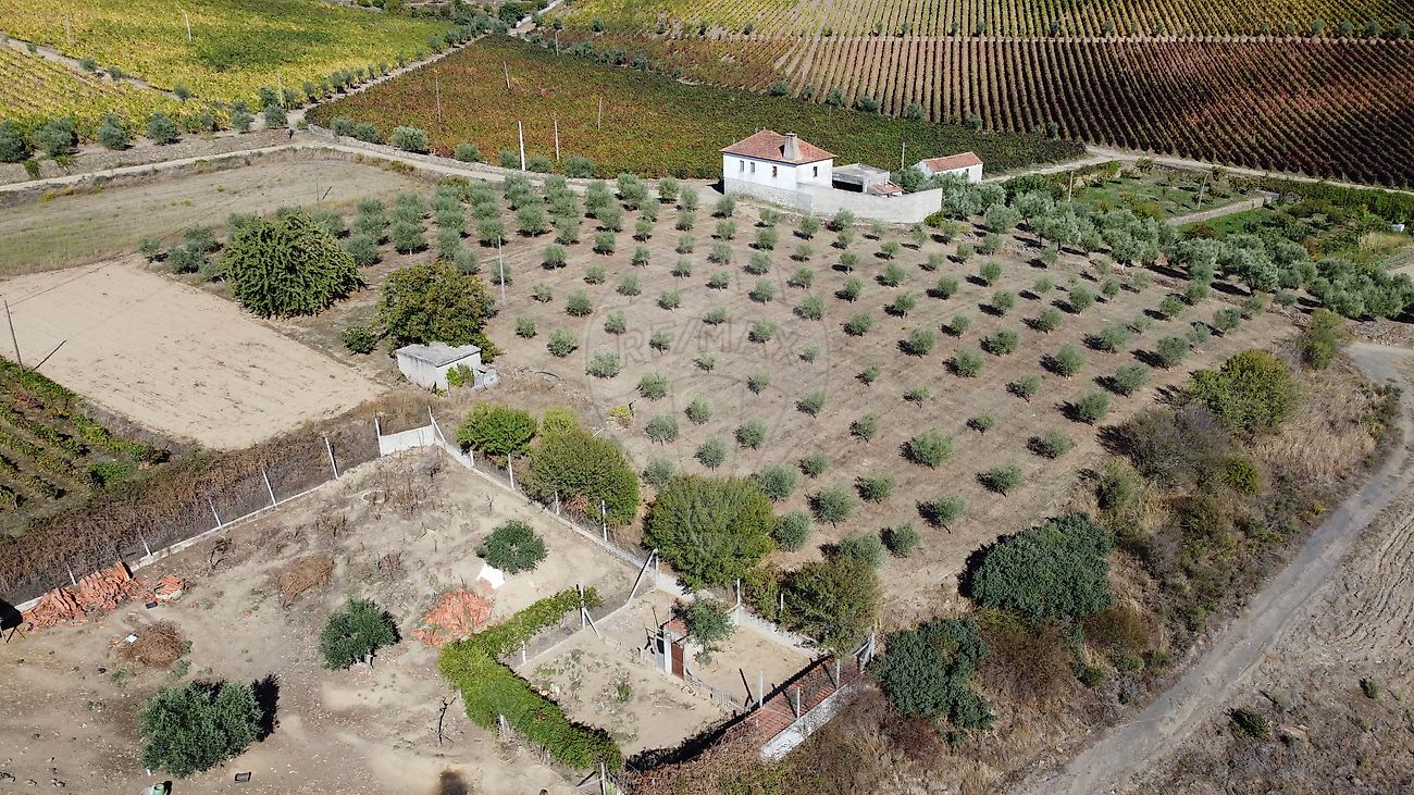 Terreno para venda