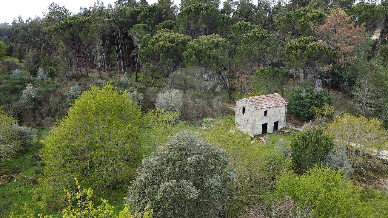 Terreno à venda em Nelas