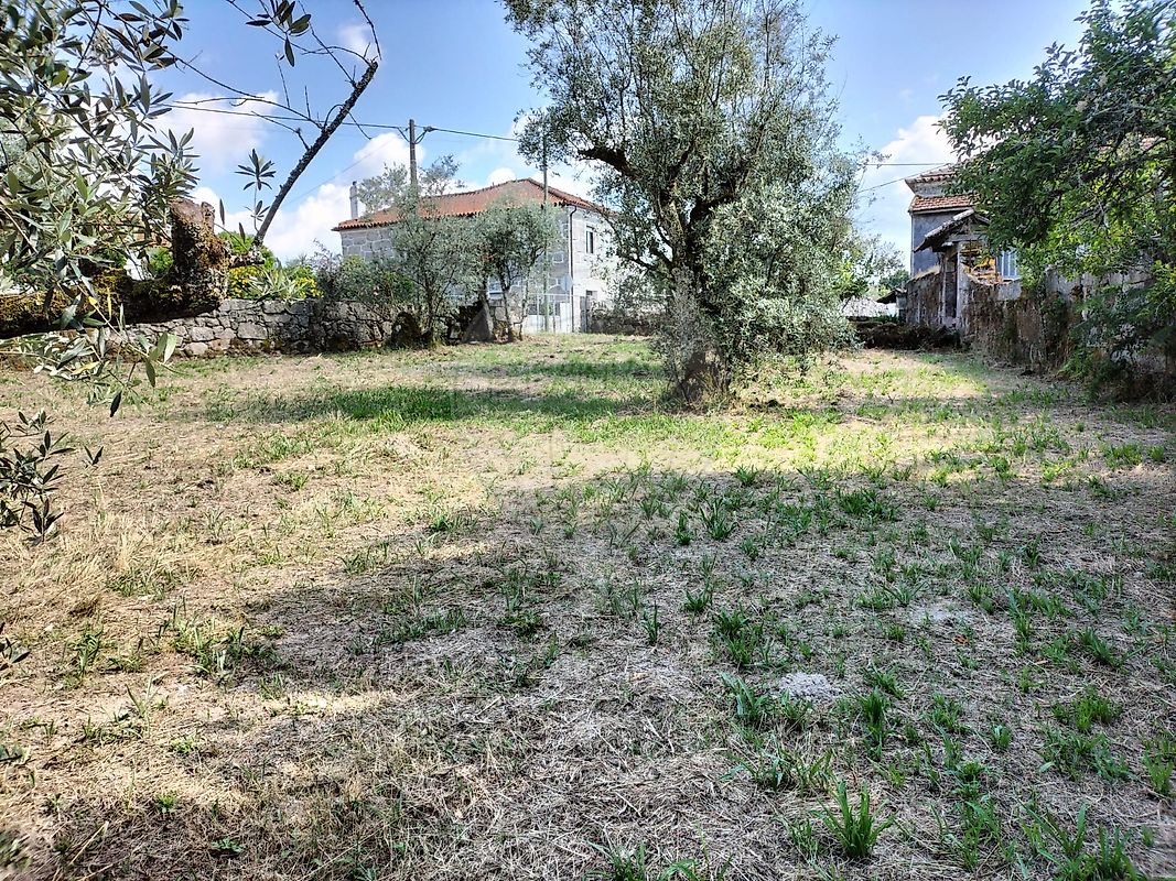 listing 126021071-7 picture-0