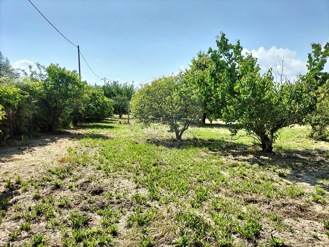 listing 126021071-7 picture-0