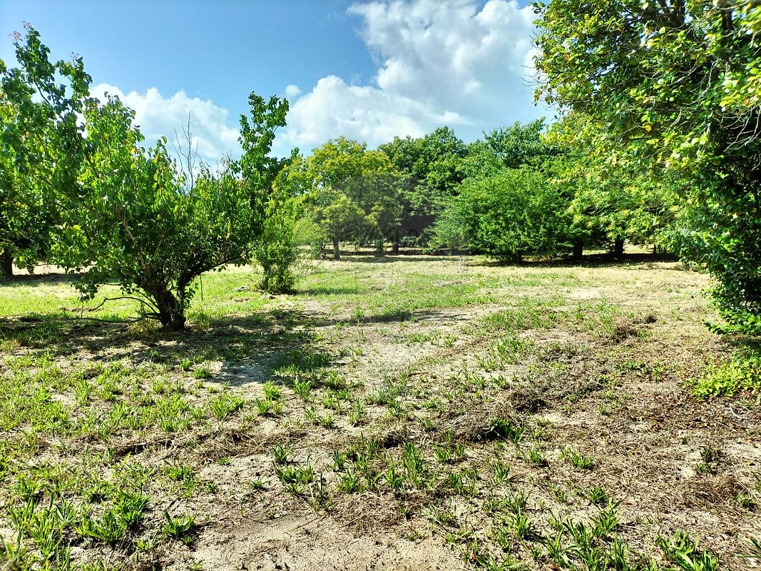 listing 126021071-7 picture-0
