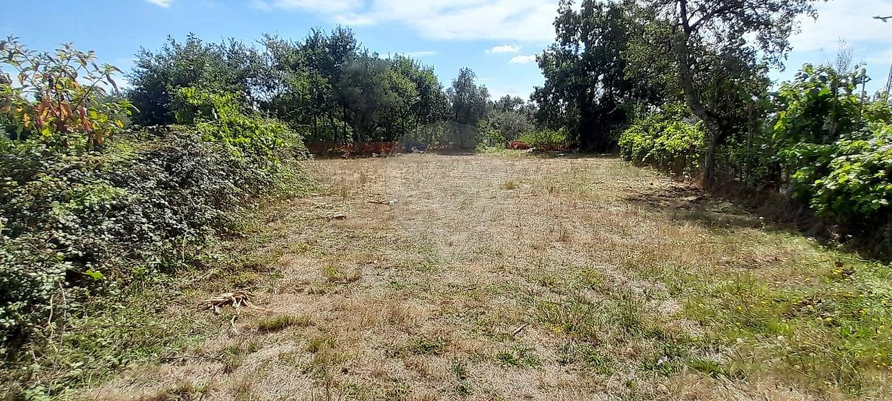 Terreno para venda