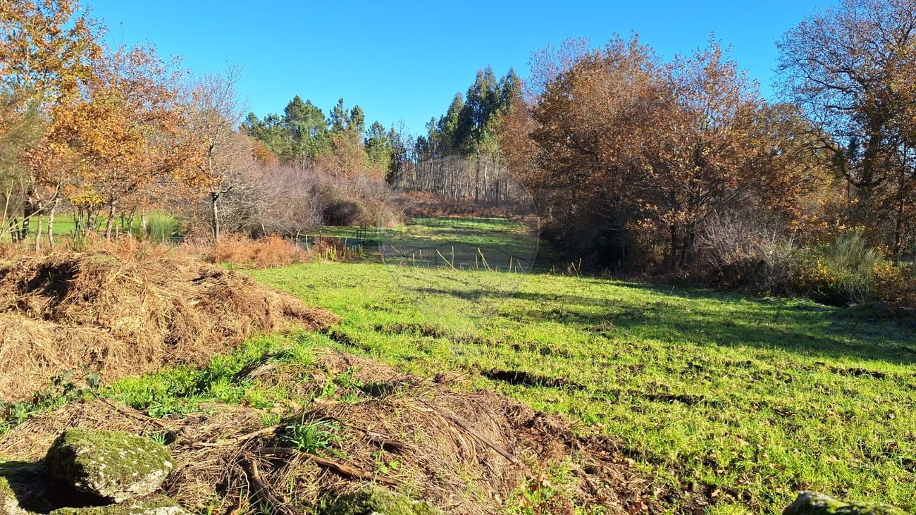 Terreno para venda