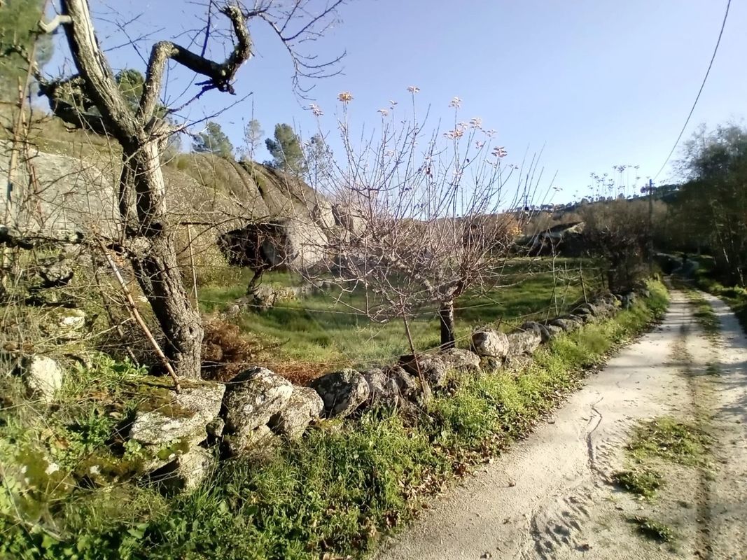 Terreno para venda