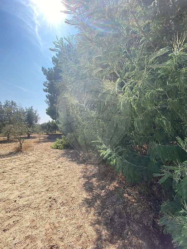 Terreno para venda