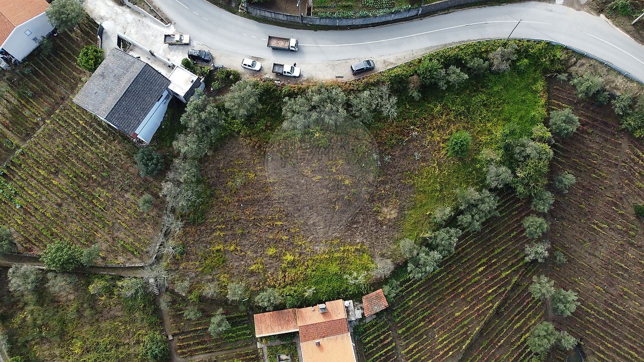 Terreno à venda em Lamego